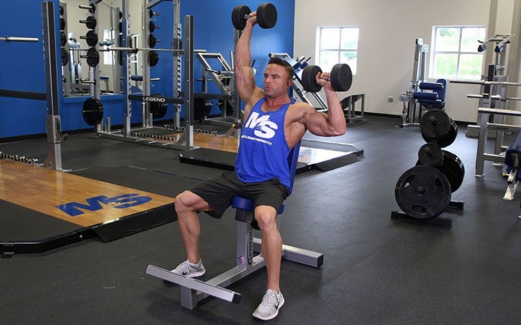 #9 Seated dumbbell military press