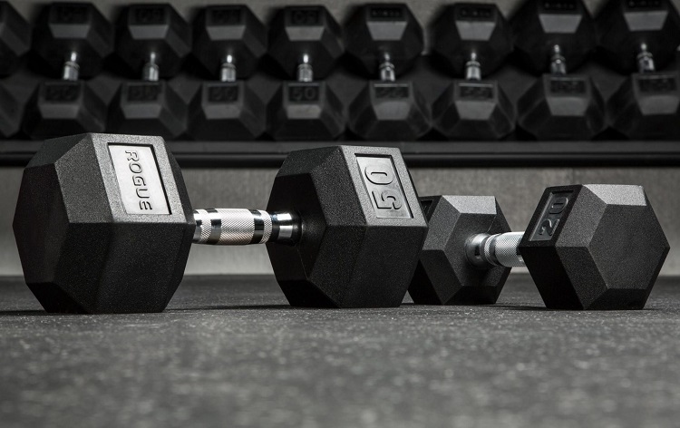 Barbells Vs Dumbbells: Which is Free Weight Is Better For You?