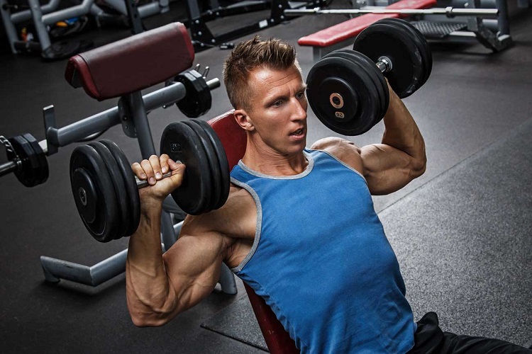 #1 Dumbbell Shoulder Press (Seated)
