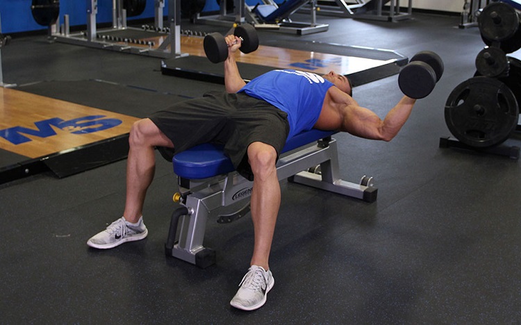 Chest Fly Is Important: Here Is Why