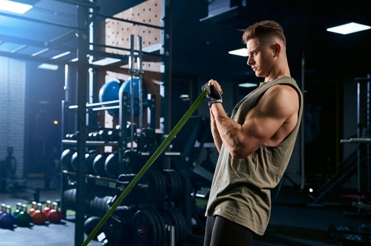 Arms